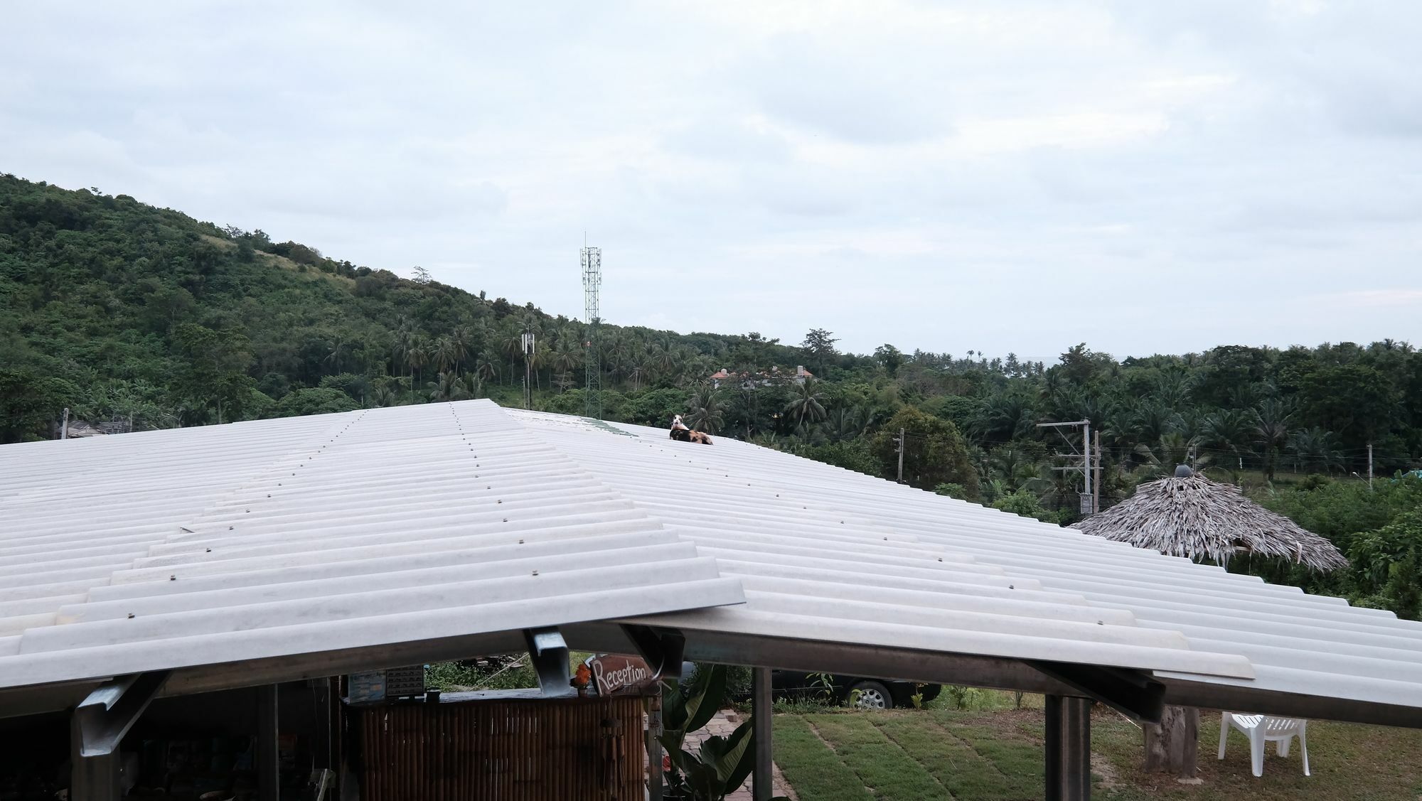 猫简易别墅旅馆 Ko Lanta 外观 照片